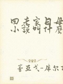 回老家日母原著小说叫什么名字
