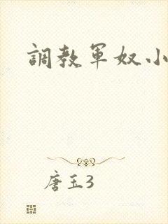 调教军奴小说