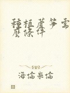 种植芦笋需要什么条件