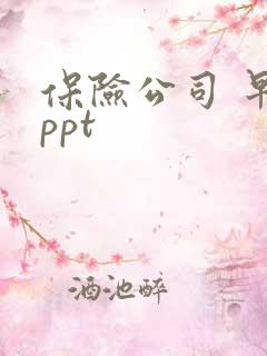 保险公司 早会ppt