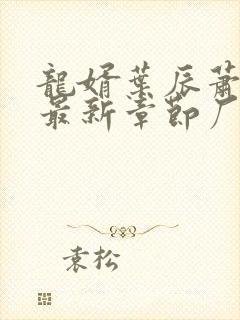 龙婿叶辰萧初然最新章节厂