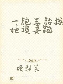 一胞三胎总裁爹地追妻跑