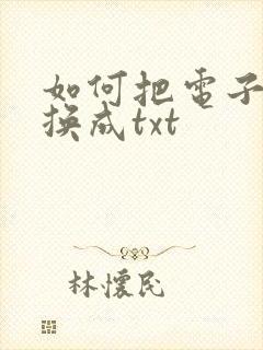 如何把电子书转换成txt