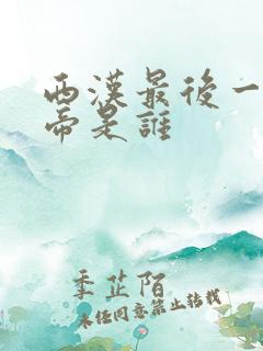 西汉最后一个皇帝是谁