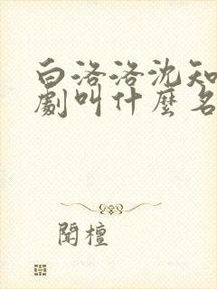 白洛洛沈知景短剧叫什么名字