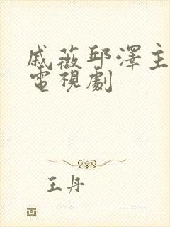 戚薇邱泽主演的电视剧