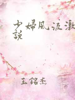 少妇风流激情小说