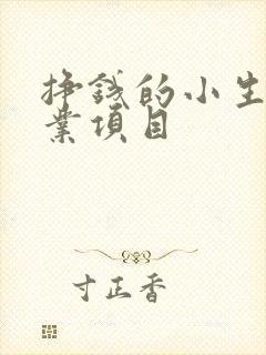 挣钱的小生意创业项目