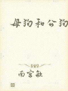 母狗和公狗