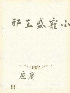 邪王盛宠小狂妃