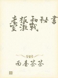 老板和秘书办公室激战