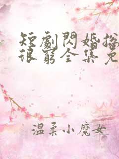 短剧闪婚总裁都很穷全集免费观看