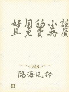 好用的小说软件且免费无广告