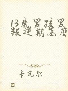 13岁男孩男孩叛逆期怎么办