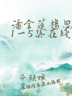 潘金莲杨思敏版1一5集在线观看