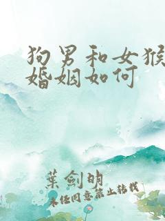 狗男和女猴相配婚姻如何