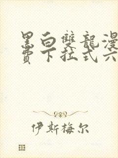 黑白双龙漫画免费下拉式六漫画