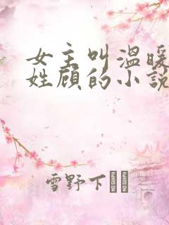 女主叫温暖男主姓顾的小说