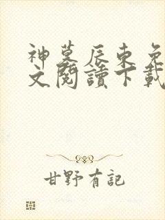 神墓辰东免费全文阅读下载