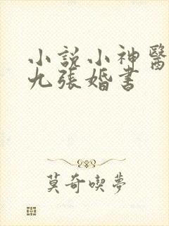 小说小神医开局九张婚书