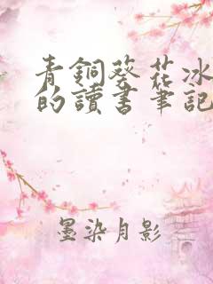 青铜葵花冰项链的读书笔记