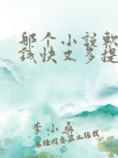 那个小说软件赚钱快又多提现快
