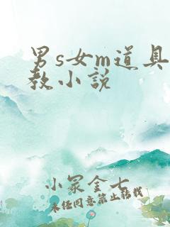 男s女m道具调教小说