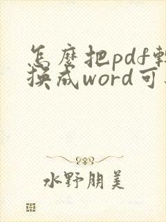 怎么把pdf转换成word可编辑文本