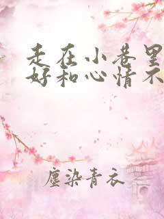 走在小巷里心情好和心情不好200字