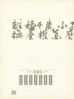 离婚4岁小孩子抚养权怎么判定