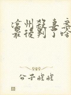 沧州杀妻案凶手最后判了啥