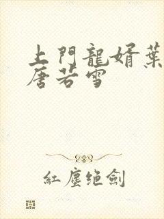 上门龙婿叶凡和唐若雪
