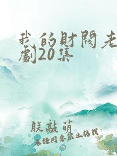 我的财阀老婆短剧20集