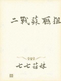 二战苏联狙击手