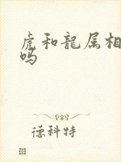 虎和龙属相相配吗