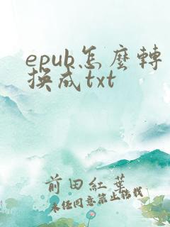 epub怎么转换成txt