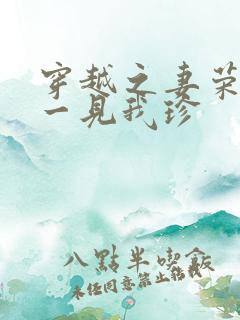 穿越之妻荣夫贵一见我珍