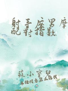 射手座男摩羯女配对指数