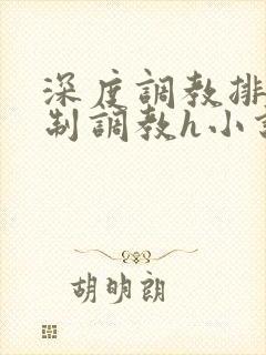 深度调教排泄控制调教h小说