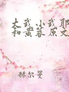 大武小武耶律齐和黄蓉原文