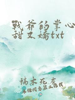 战爷的掌心宠又甜又娇txt
