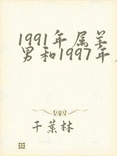 1991年属羊男和1997年属牛女婚配