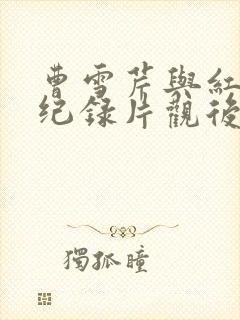曹雪芹与红楼梦纪录片观后感