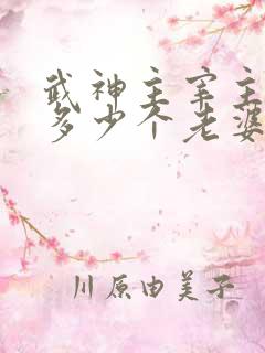 武神主宰主角有多少个老婆
