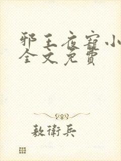 邪王夜宠小毒妃全文免费