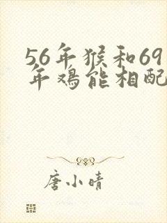56年猴和69年鸡能相配吗?