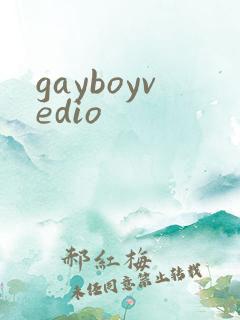 gayboyvedio