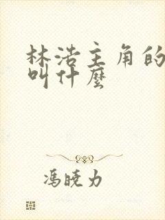 林浩主角的小说叫什么