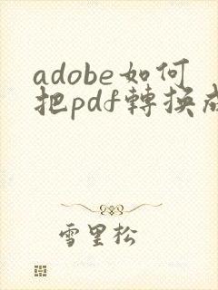 adobe如何把pdf转换成word文档