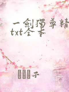 一剑独尊精校版txt全本
